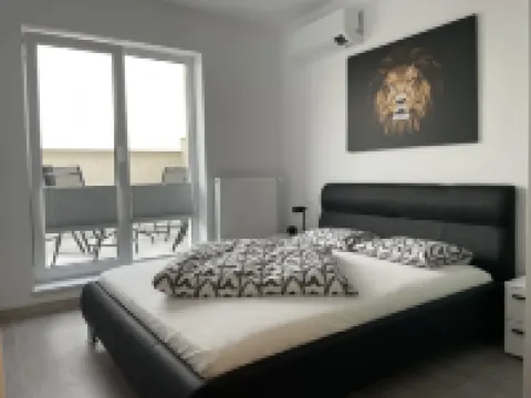 Unique Penthouse Lakeview W19