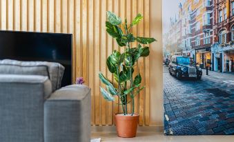Apartments Anahuac by VH