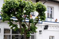 Urban Style Biarritz Hôtel Le Relais