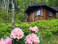 6 Person Holiday Home in Henan Hotels in Orust
