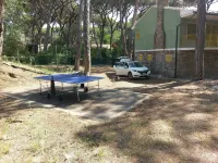 Semi-detached villa with garden