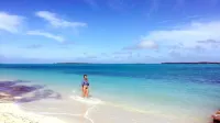 Buttercup Family Cottage beautiful beach, great snorkeling spot across the road - Beach
