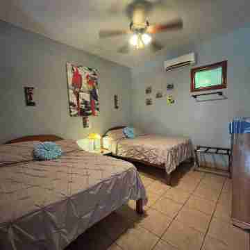 Gorgeous Views of Pacific and Rainforest Rooms