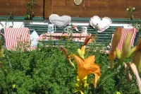 Small apartment 2-4 pers, wooden log cabin, cozy, quiet, sunny, close to the center