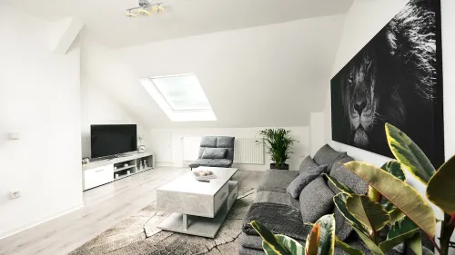 2.5-room incl. workplace, WLAN & free Netflix - fully equipped