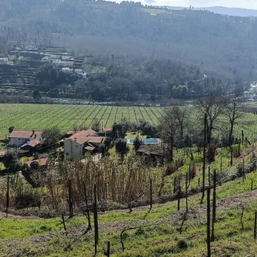 Gatao: Cottage in the begining of Douro very cosy and peaceful