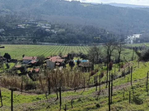 Gatao: Cottage in the begining of Douro very cosy and peaceful