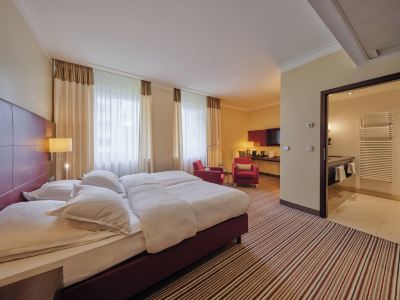 その他 シュタイゲンベルガー グラフ ツェッペリンの写真