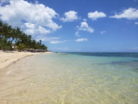 Best Amazing Direct Ocean Beach Pool Views from Penthouse - Winter Specials