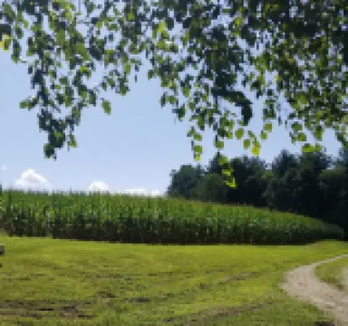 85 a night, Cute, Clean, Quiet & Convenient