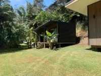 Entertainer’s Dream in Doubtless Bay
