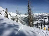 Ebbetts Pass Getaway - Awesome Easy Access Large Mountain Cabin - Feriehus