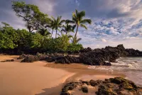 Tropical Honeymoon Suite - BBQ, Hot Tub - Walk 2 Beach - In the Heart Of Kihei
