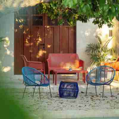 Spacious 1-floor House, Outdoor Oasis in Centro Hotel Exterior