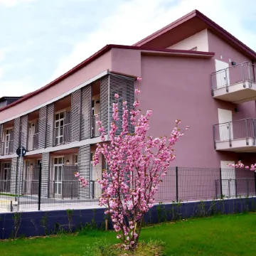 Privilege Apartments