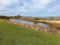 Puffin Cottage Hotels in Filey