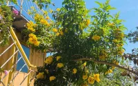 Legume Guest House