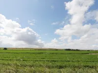 Corner View Hotels in Driffield