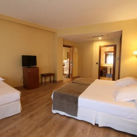 Hotel Ele Puente Romano de Salamanca Отели рядом с достопримечательностью «Roman Bridge»