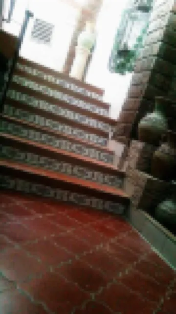 Hotel Terranova Tampico