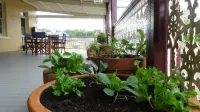 The Globe Inn Hotels in Murrumbateman