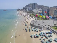 Tnh Hotel Vung Tau
