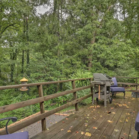 Peaceful Pisgah Forest Cottage w/ Fire Pit!