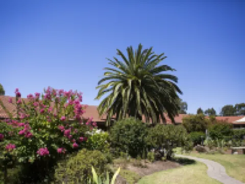 本迪戈朱莉安娜旅館 本迪戈酒店