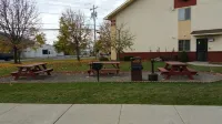 Super 8 by Wyndham Cobleskill NY Hotels near Tagua Nut Gift Shop & Cafe