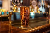 The Greyhound Inn - bar
