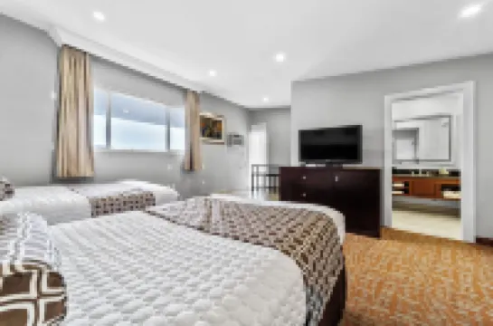 ザ スヌーズ イン