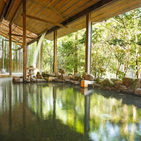 Hinotani Onsen Misugi Resort Hotel Annex