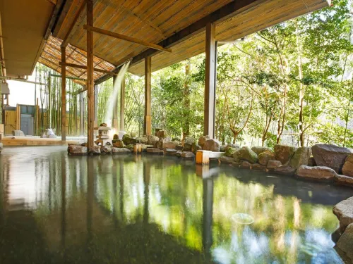 Hinotani Onsen Misugi Resort Hotel Annex - Mountain view