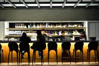 嘉義尊皇大飯店 - 酒吧