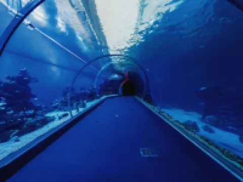 Royal Park Resort Apartment 106 エイラートのホテル