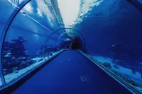 Royal Park Resort Apartment 106