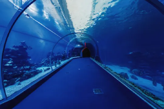 Royal Park Resort Apartment 28