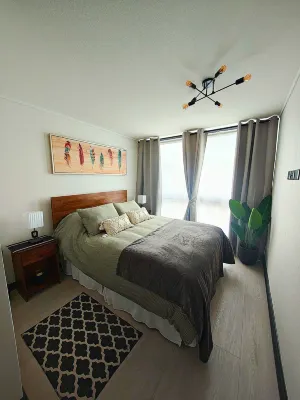 維庫尼亞城市住宿 住宿飯店