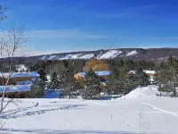 Cozy Getaway Near All the FUN! Harbor Springs/Petoskey Hotels in Pleasantview Township