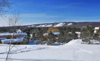 Cozy Getaway Near All the FUN! Harbor Springs/Petoskey