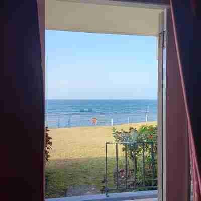 加勒比海浪 Others