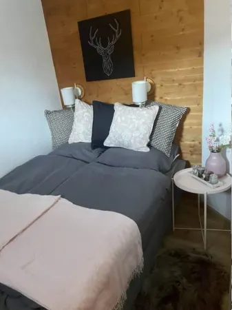 Avoriaz - beautiful apartment at the Douchka - 2 rooms -1 bedroom - 4 pers freshly renovated