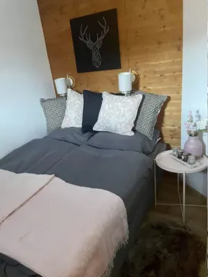 Avoriaz - beautiful apartment at the Douchka - 2 rooms -1 bedroom - 4 pers freshly renovated