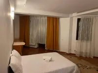 Luxury villa 4U iasihotel 5min to center & airport Hotels in 