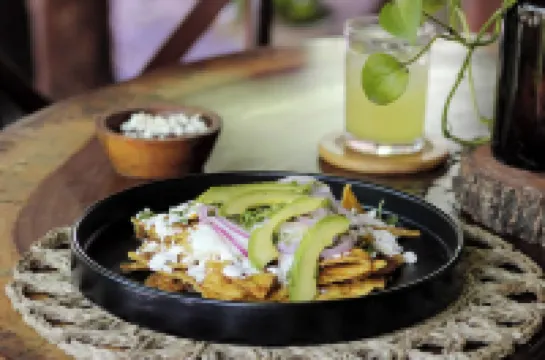 Anand Ecoaldea - Jungle Villa in Puerto Morelos