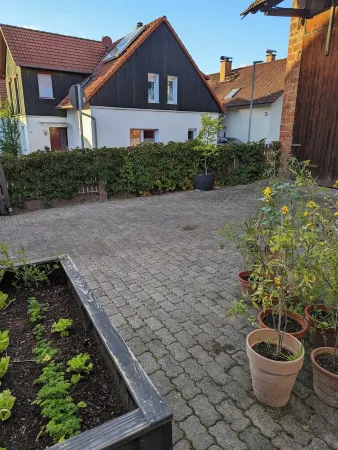 Small cozy house in the countryside