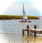 Unser Ostseehaus - cozy apartment in a farmhouse with garden Hotels in Saal