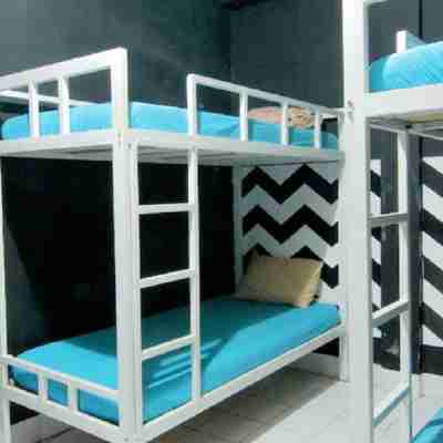 44背包客青年旅館 Rooms