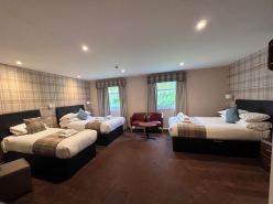 فندق كينج روبرت