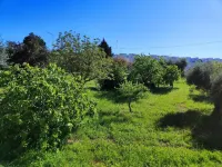 Tranquil Villa in Apulia Hotels in Cisternino